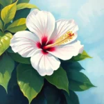 dream symbol white hibiscus a journey of serenity and purity